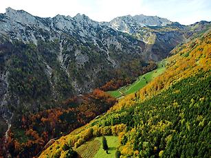 Die Blumaueralm liegt unter den Nordabstürzen des Sengsengebirges