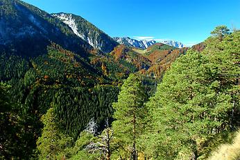 Blick vom Reichraminger Hintergebirge zum Sengsengebirge.