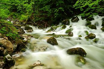 Die Rettenbachquelle entwässert das südliche Sengsengebirge