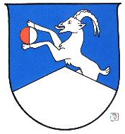 Wappen - Neukirchen am Großvenediger