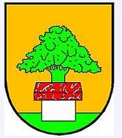 Wappen von Oberalm