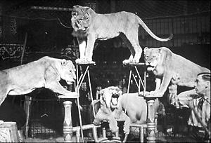 Zirkus Rebernigg, Foto der 30er Jahre, © Copyright Österreichisches Institut für Zeitgeschichte, Wien - Bildarchiv, für AEIOU.