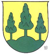 Wappen - Saalfelden