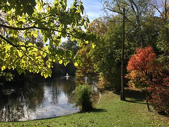 Herbst im Türkenschanzpark