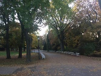 Herbst im Türkenschanzpark