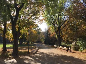 Herbst im Türkenschanzpark