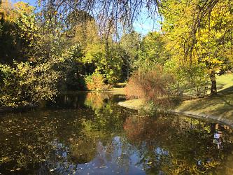 Herbst im Türkenschanzpark