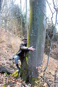 In Österreich gibt es 145.000 Waldbesitzer