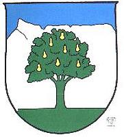 Wappen - Wals