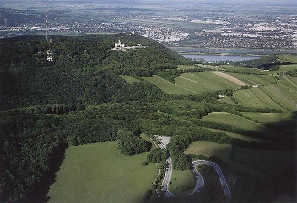 Der Wienderwald- grüne Lunge für Wien