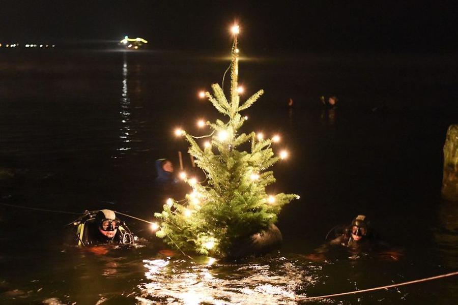 Christbaumtauchen in Gmunden