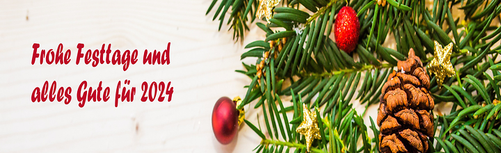 Bild 'weihnachten24-1'