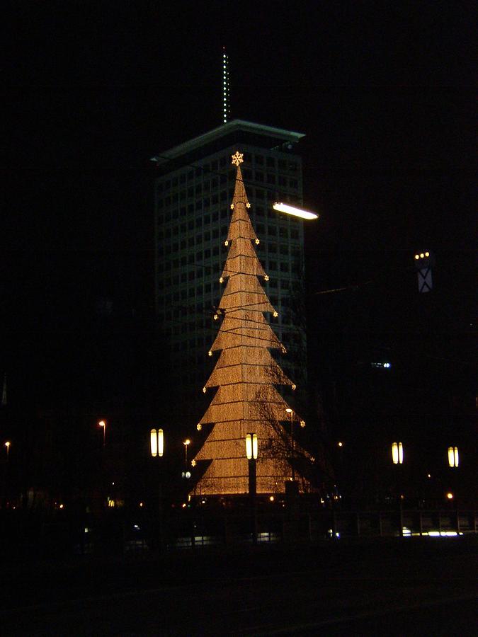 Verhüllung mit Christbaum bei Nacht