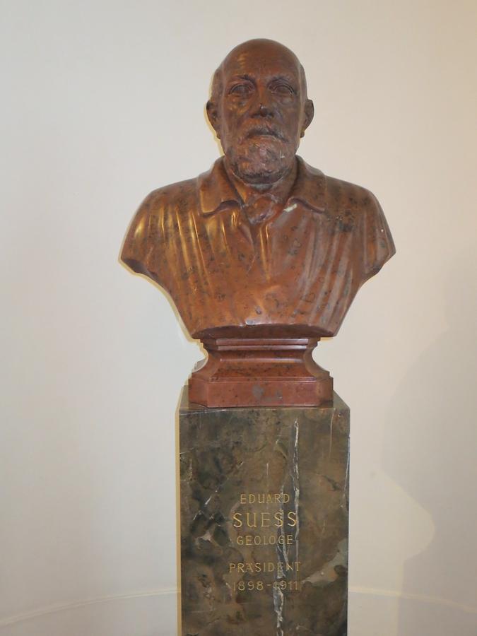 Eduard Suess Gedenkbüste