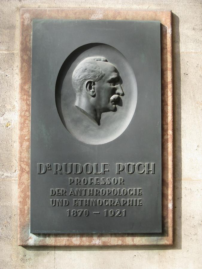 Rudolf Pöch Gedenktafel