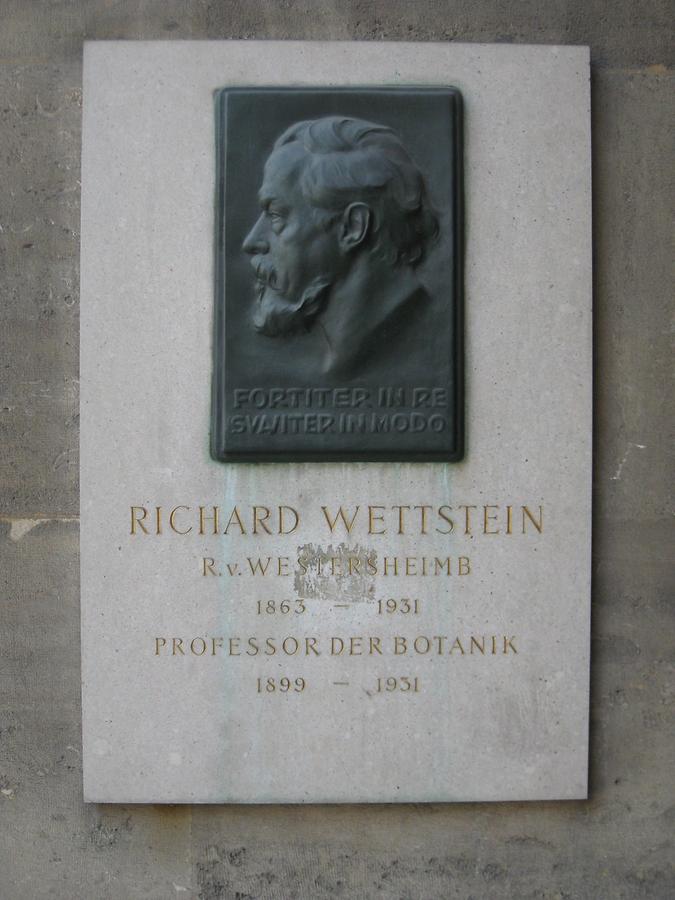 Richard Wettstein Ritter von Westersheimb Gedenktafel