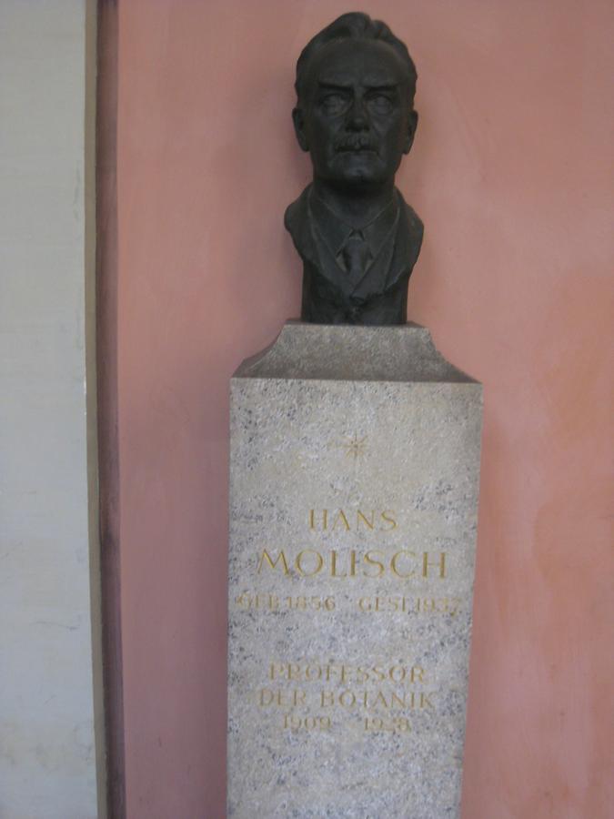 Hans Molesch Gedenkbüste