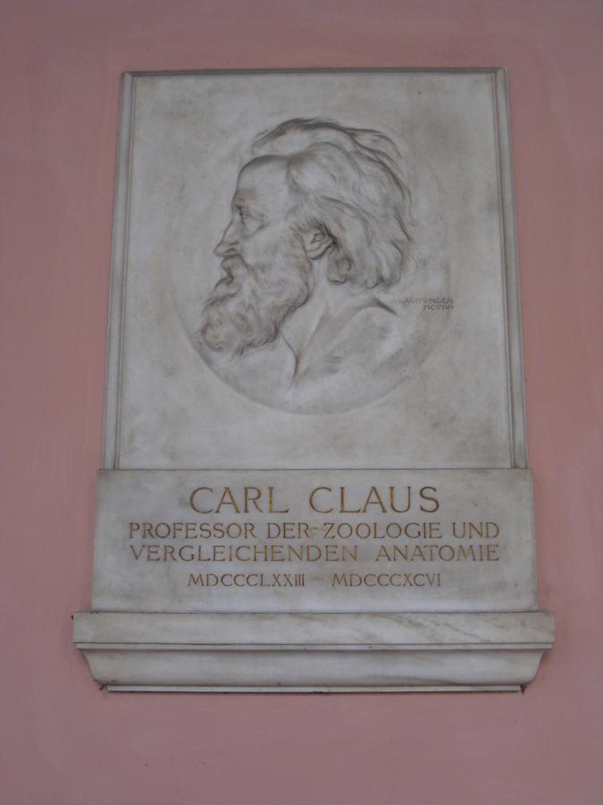 Carl Claus Gedenktafel