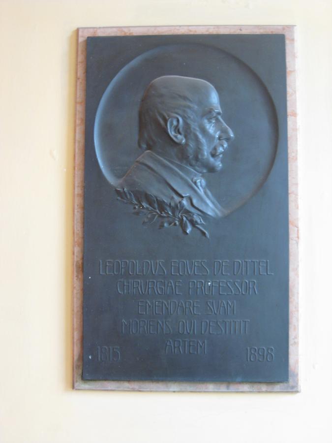 Leopold Ritter von Dittel Gedenktafel