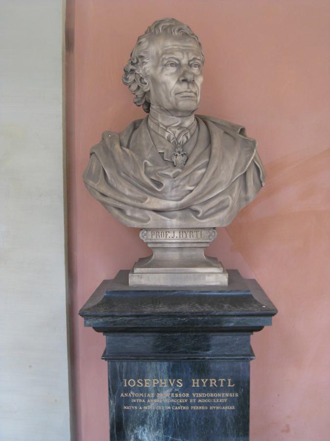 Joseph Hyrtl Gedenkbüste