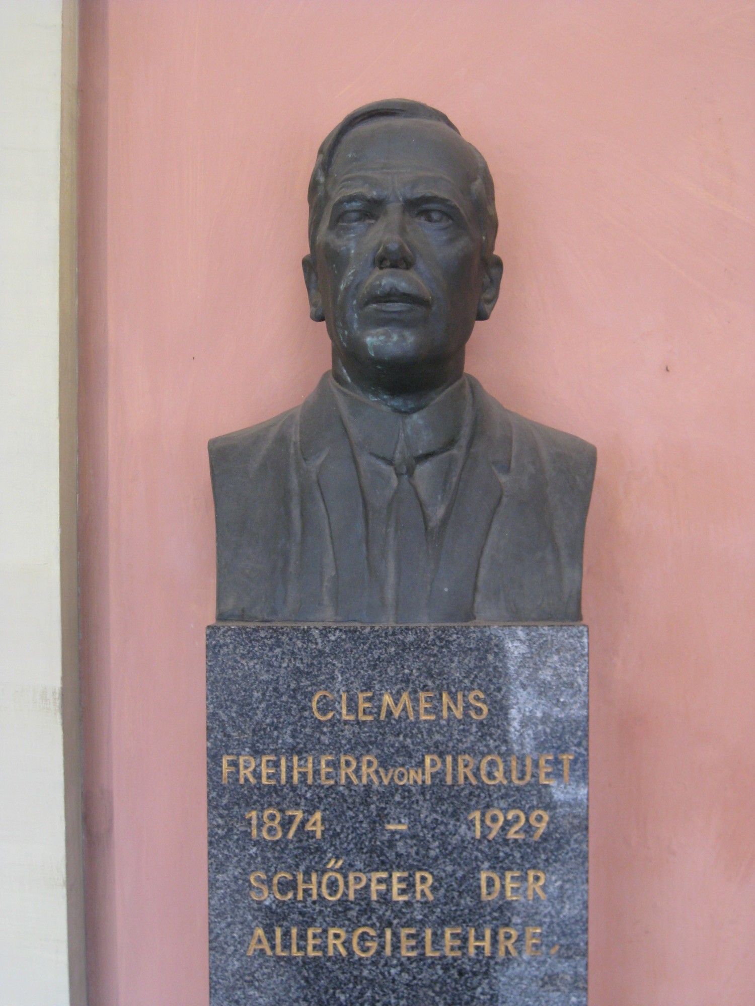 Clemens Fhr von Pirquet | 1. Bezirk, Denkmäler, Gedenktafeln ...