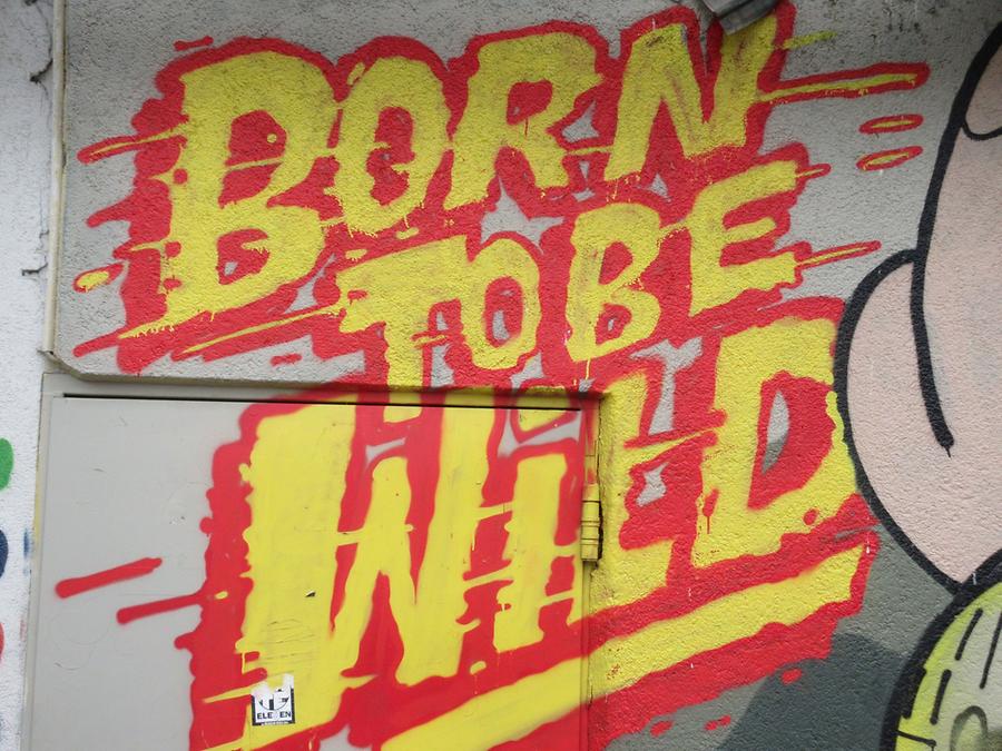 Graffito 'Born to be wild'