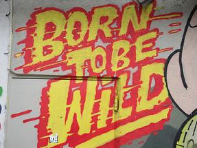 Graffito 'Born to be wild'