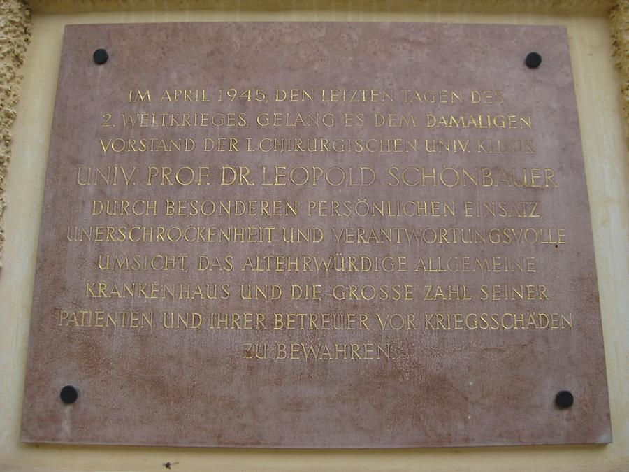 Leopold Schönbauer Gedenktafel