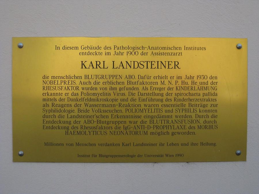 Karl Landsteiner Gedenktafel