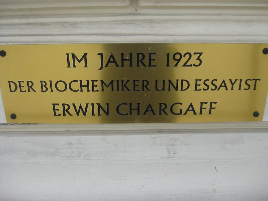 Erwin Chargaff Gedenktafel