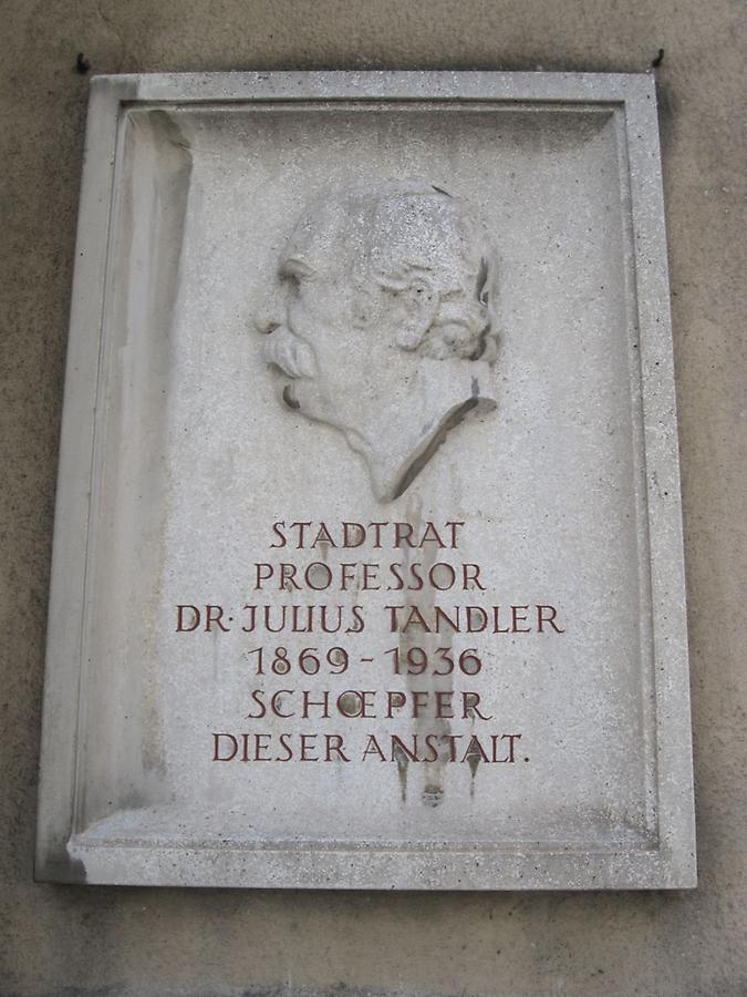Julius Tandler Gedenktafel