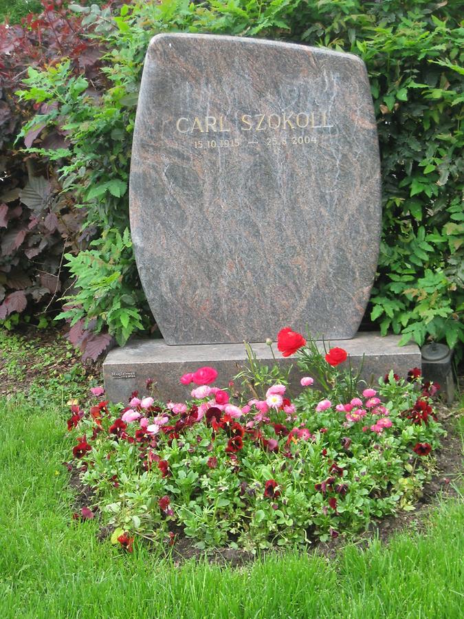 Grab von Carl Szokoll, Major, Widerstandskämpfer 1915-2004