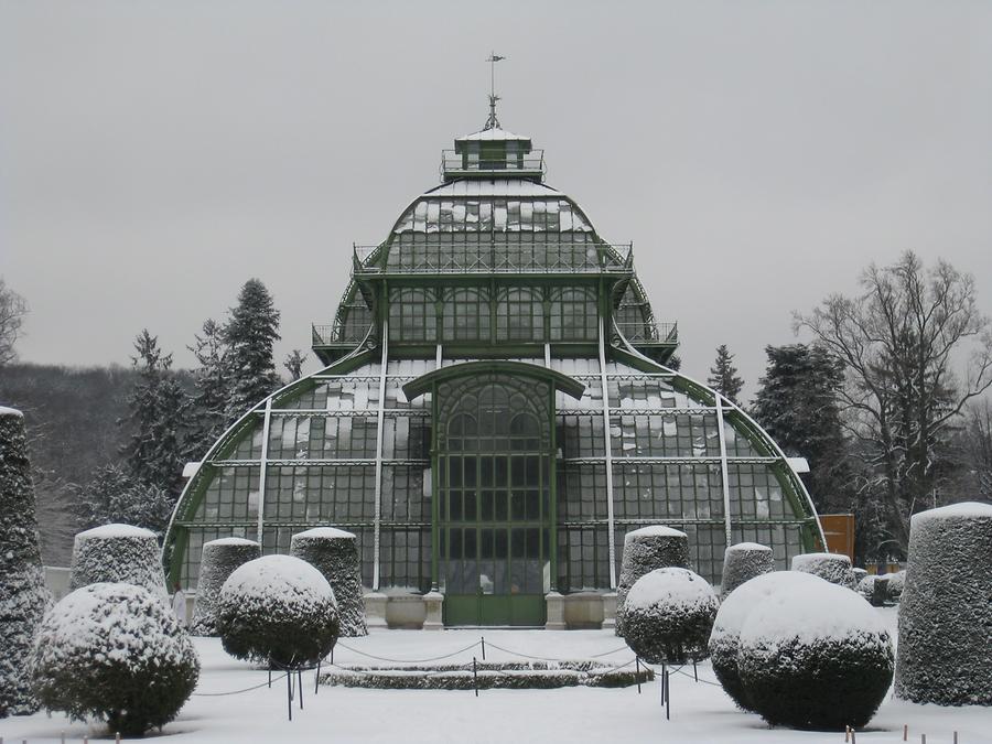 Palmenhaus im Winter