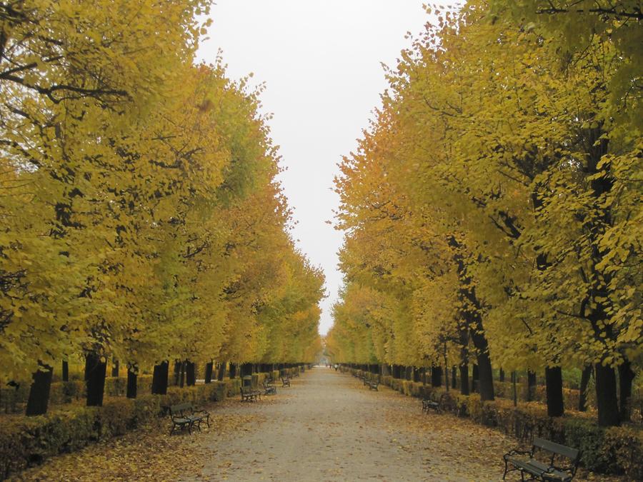 Rustenallee im Herbst