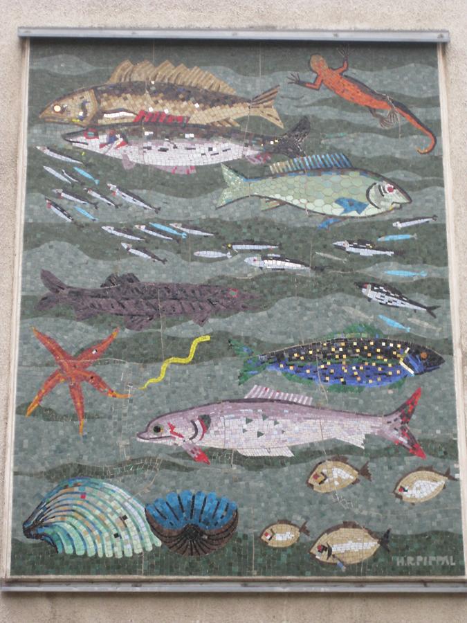 Wandmosaik 'Fische' von Hans Robert Pippal 1956