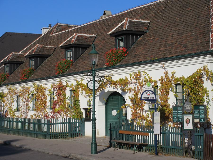 Gasthaus Hauerkuchl