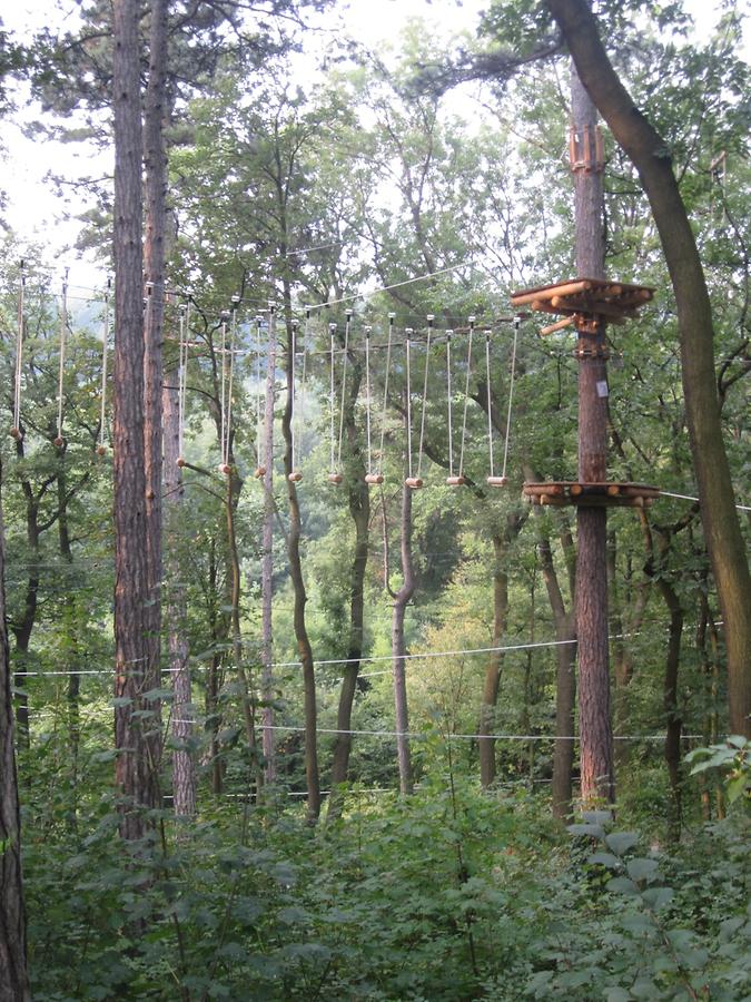 Waldseilpark Kahlenberg