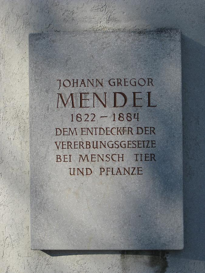 Gedenktafel auf dem Gregor Mendel Denkmal