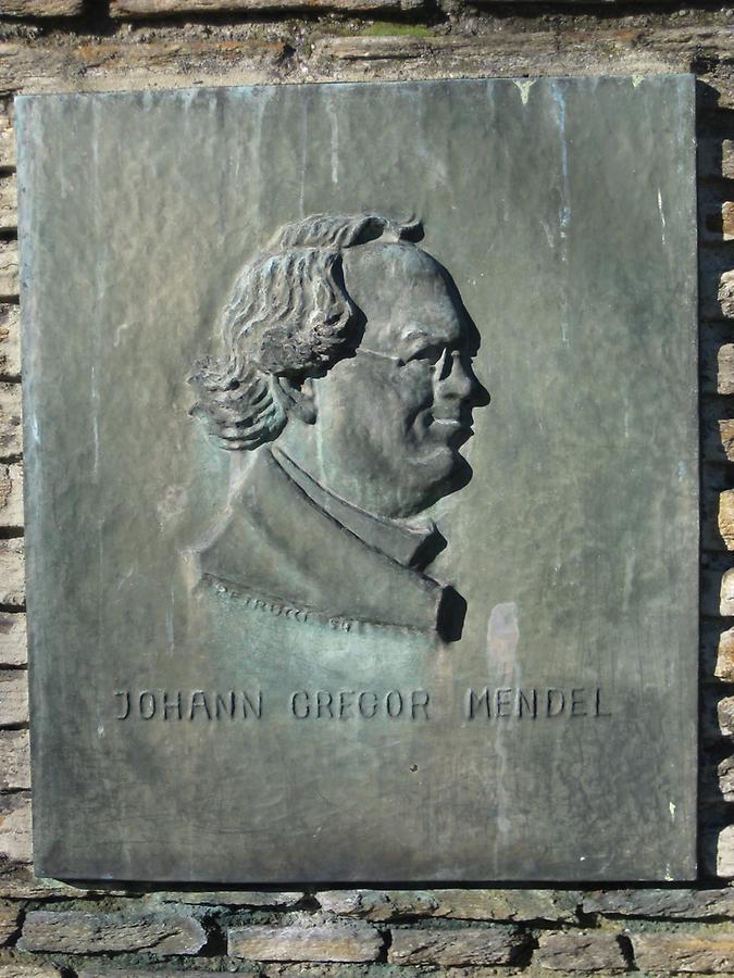 Gedenktafel neben dem Gregor Mendel Denkmal