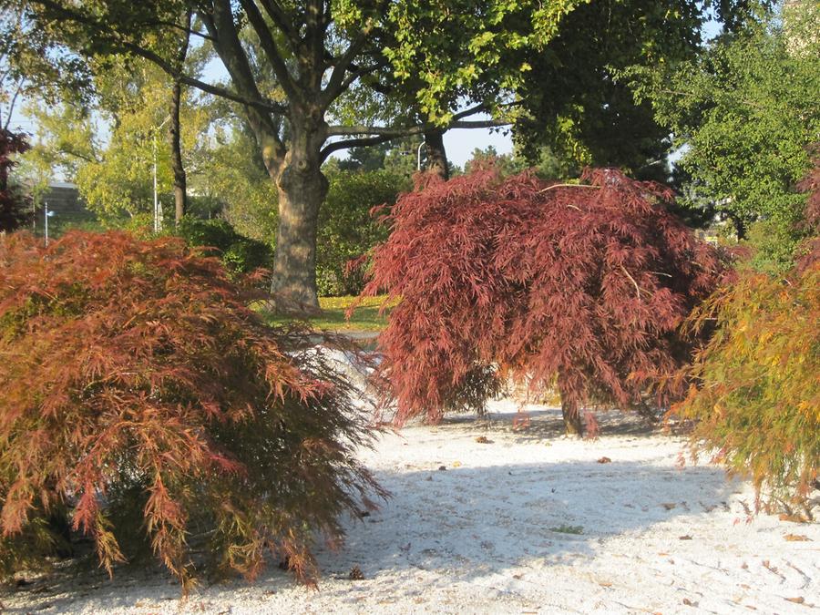 Japanischer Garten