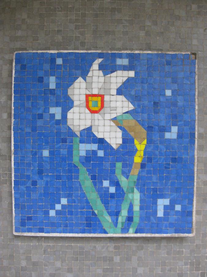 Mosaik 'Edelweiss' 1964