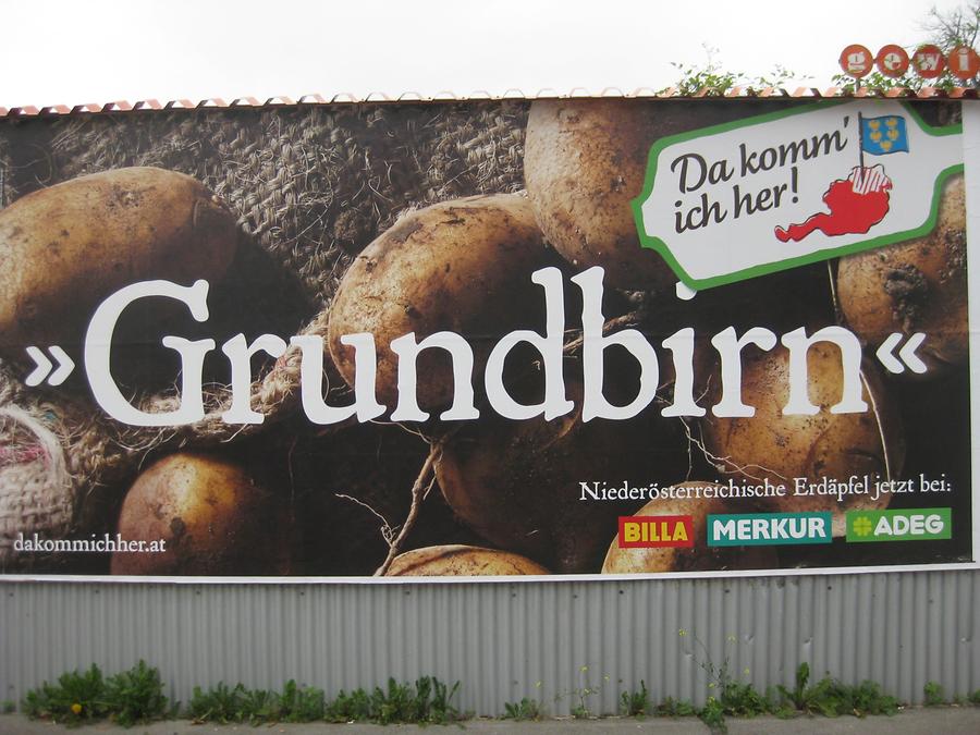 „Grundbirn“, www.dakommichher.at (Rewe)