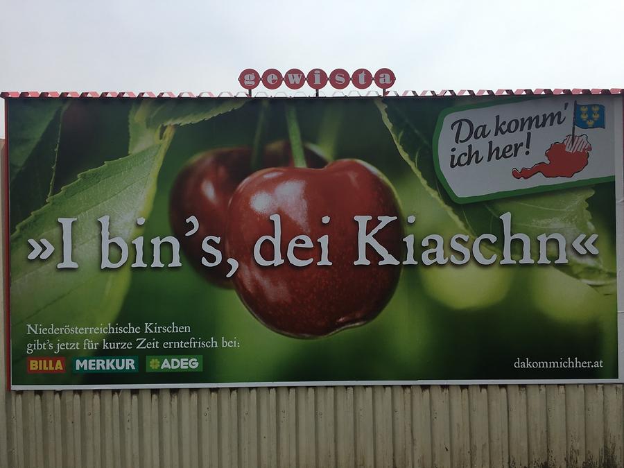 „I bins, dei Kiaschn“, dakommichher.at (Rewe)