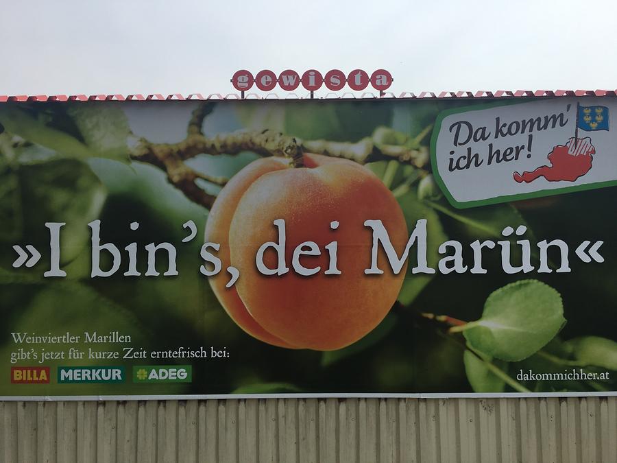 „I bins, dei Marün“, dakommichher.at (Rewe)