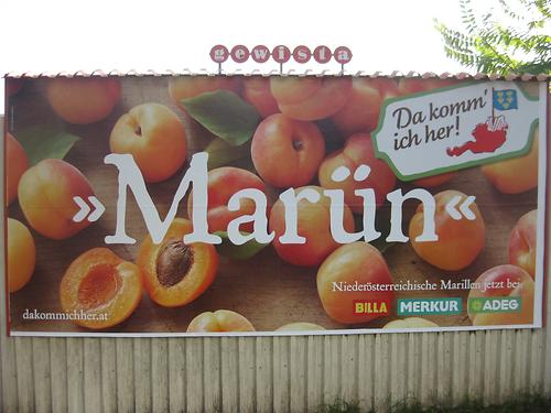 „marün“ Plakate Bilder Aus Wien Bilder Im Austria Forum