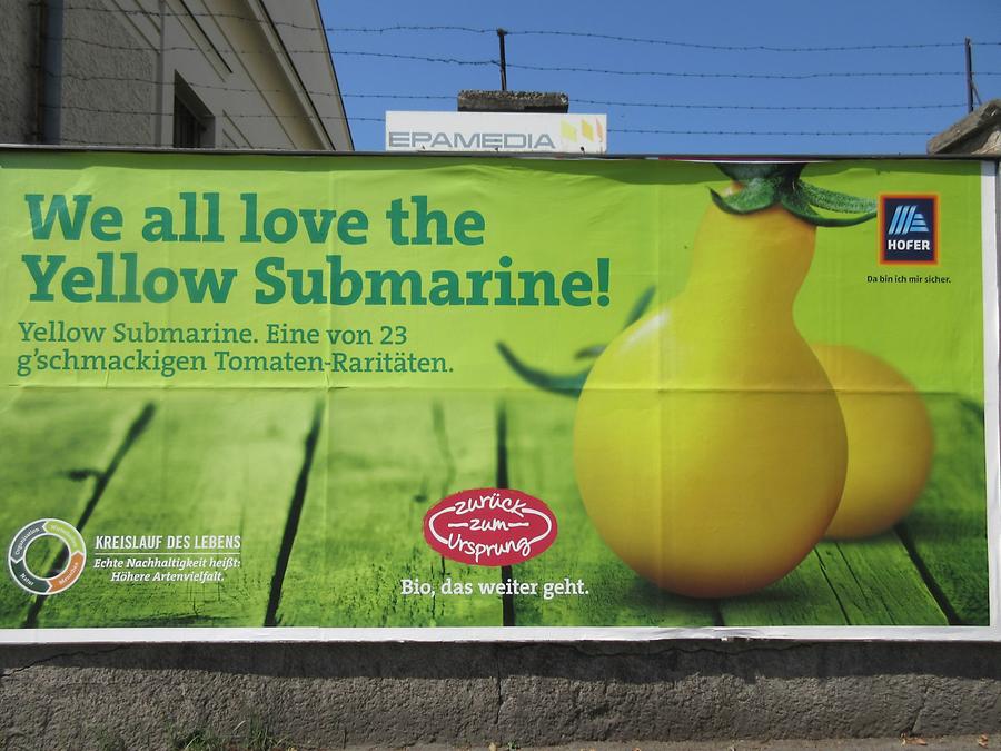 „We all love the Yellow Submarine“, Hofer Zurück zum Ursprung