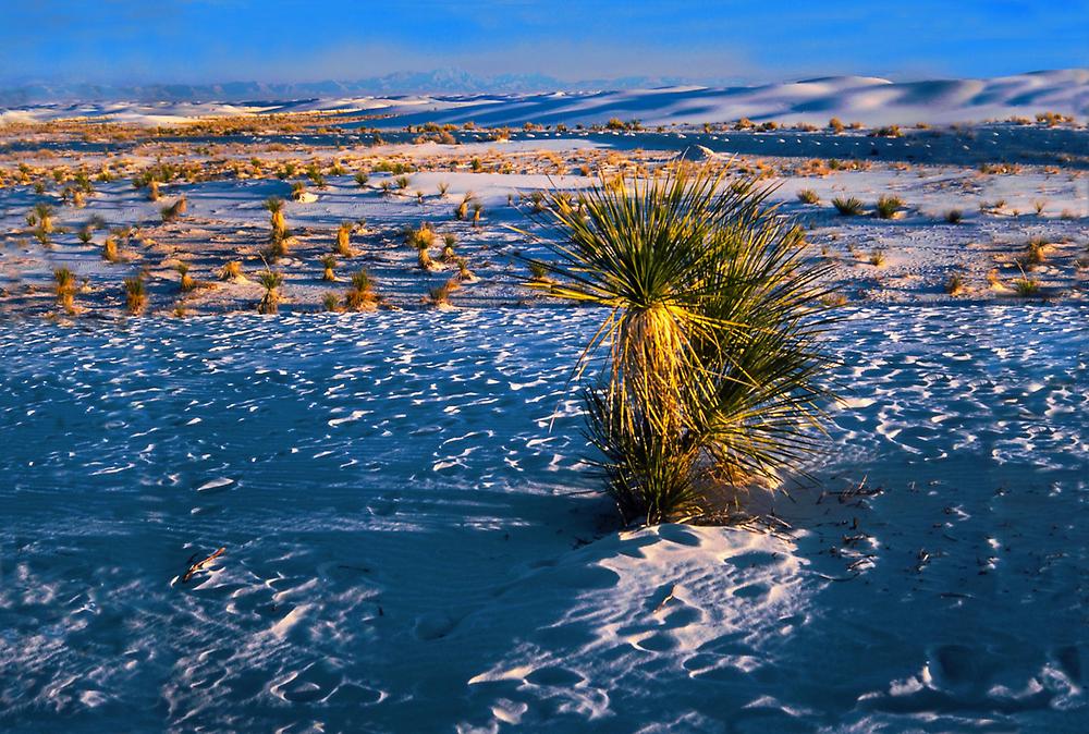 Neu Mexiko, White Sands, USA