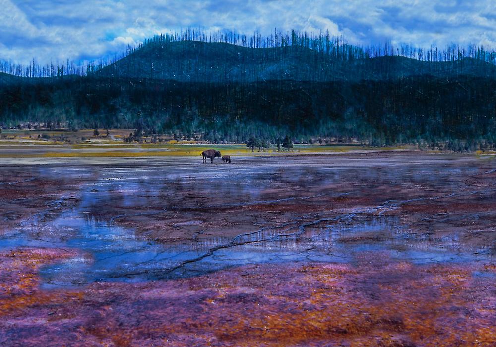 Yellowstone, USA
