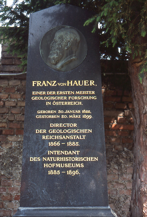 Franz von Hauer