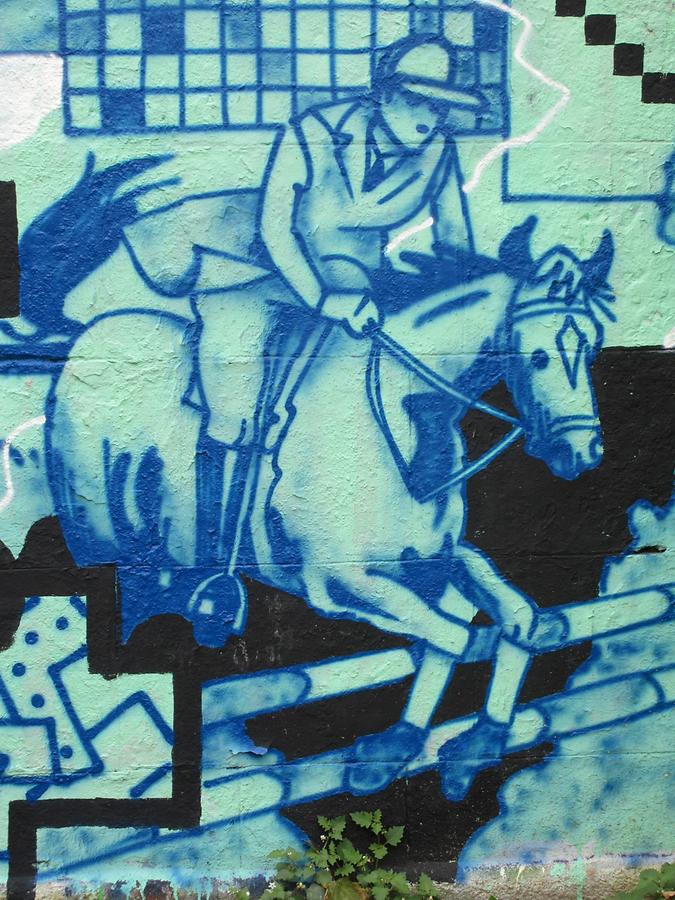 Roßauer Lände, Donaukanalradweg